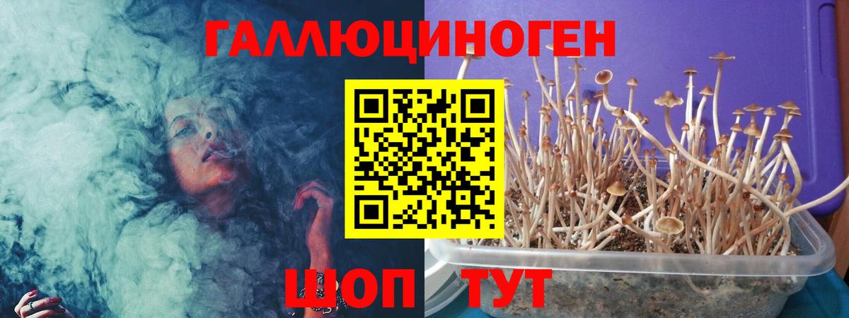 как найти закладки  Вход с VPN  Воронеж  Галлюциногенные грибы мухоморы 