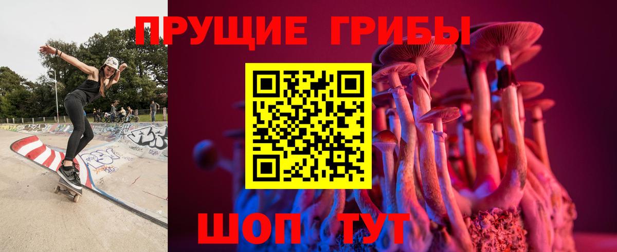Галлюциногенные грибы мицелий Воронеж